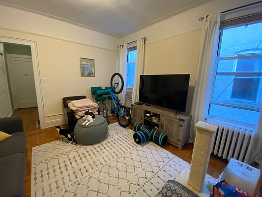 Rented by Amorelli Realty | media 7