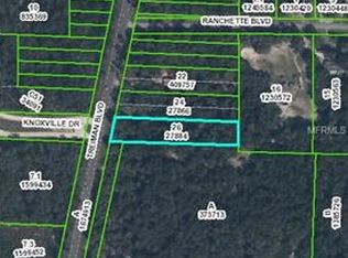 Treiman Blvd, Webster, FL 33597