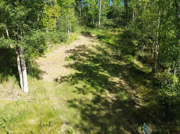 Sheshebe Rd, McGregor, MN 55760