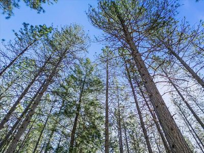 6400 Shoo Fly Rd, Placerville, CA, 95667