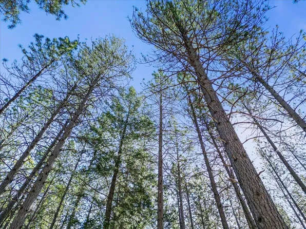 6400 Shoo Fly Rd, Placerville, CA 95667