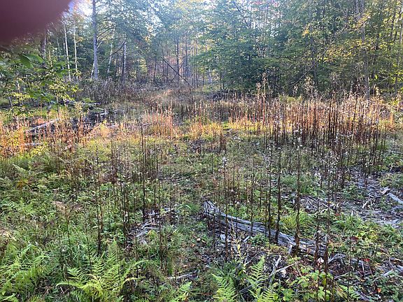 2nd image of 0 Flagg Mill Road