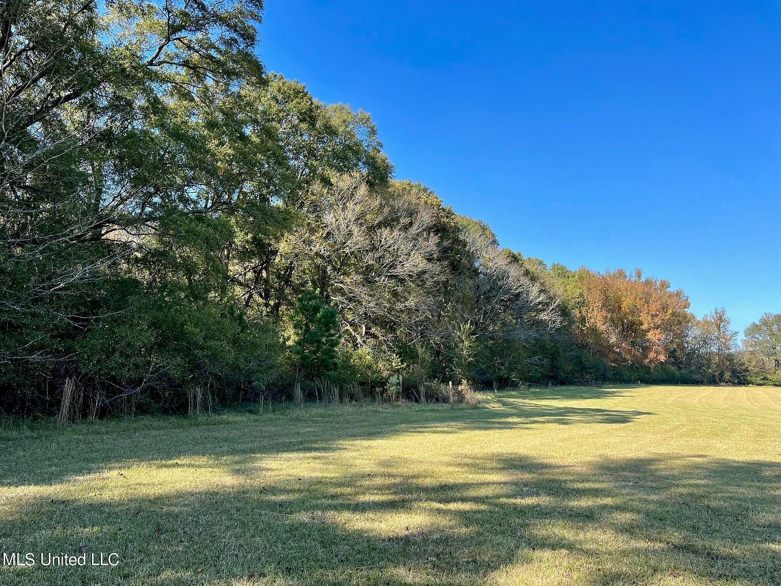 881 Sharon Rd, Canton, MS 39046 Zillow