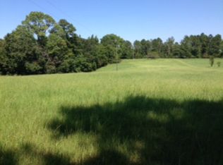 1898 Chalybeate Springs Rd, Woodland, GA 31836