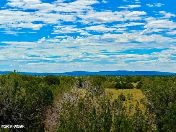 0 Dusty Rose Ranch Rd #C, Seligman, AZ 86337