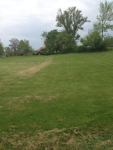 2nd image of 691 Meridian Rd