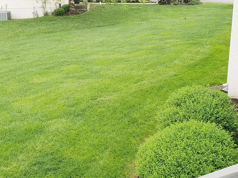 14 Hayworth Cir — Photo 36