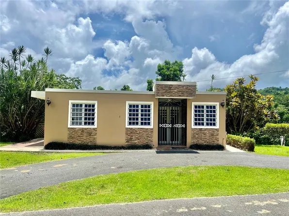 Sector El Hoyo Santo Olaya Lote #1, Bayamon, PR 00956