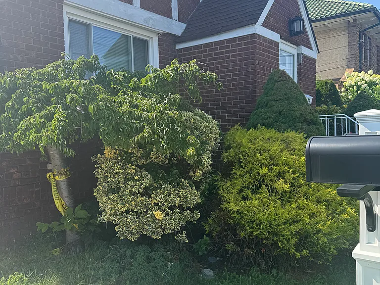 Davison Plz — Photo 46