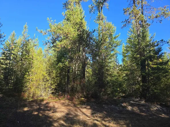 Red Tail Way, Colville, WA 99114
