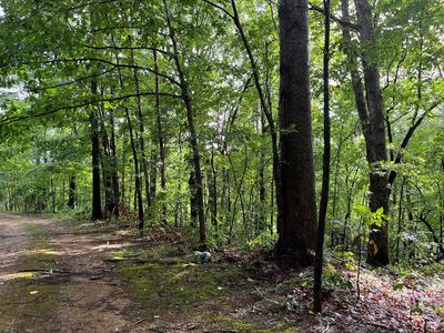 Ellison Goolsby Ln, Bloomington Springs, TN, 38545
