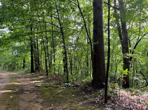 Ellison Goolsby Ln, Bloomington Springs, TN 38545