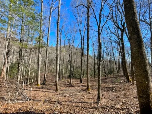 Lot 30 Cliff Ridge, Cashiers, NC 28717