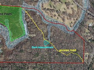 0 Lewis Brown Rd, Bennett, NC 27208