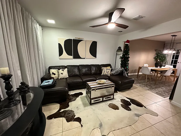 Living Room Area