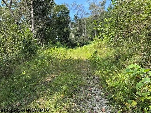 3rd image of Hagans Rd