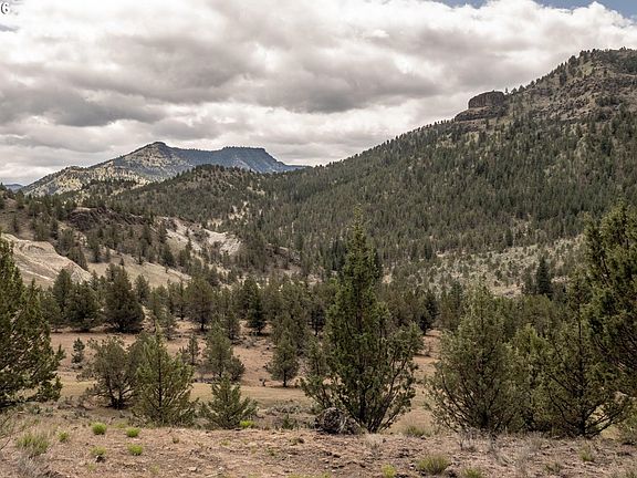4th image of 40845 Rudio Rd
