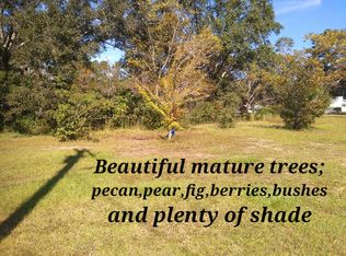 0 Lee St, Opp, AL 36467