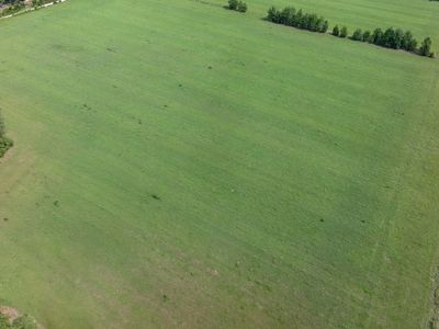 0 SW Old Place Rd, Mayo, FL, 32066