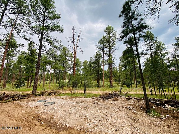 2nd image of 20 Pine Rd