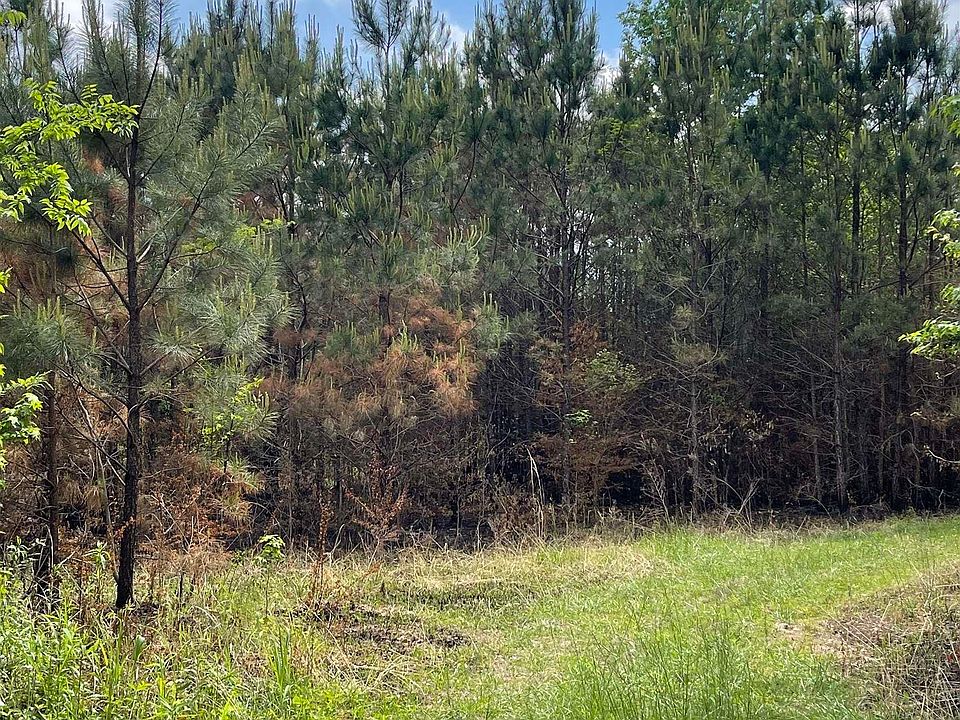 2nd image of Hillside Cir #4081