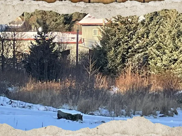 202 Spruce Dr, Port Lions, AK 99550