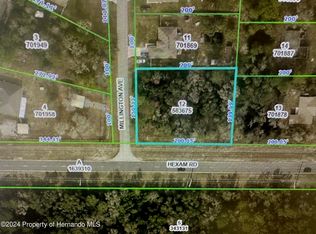0 Millington Ave, Weeki Wachee, FL 34614