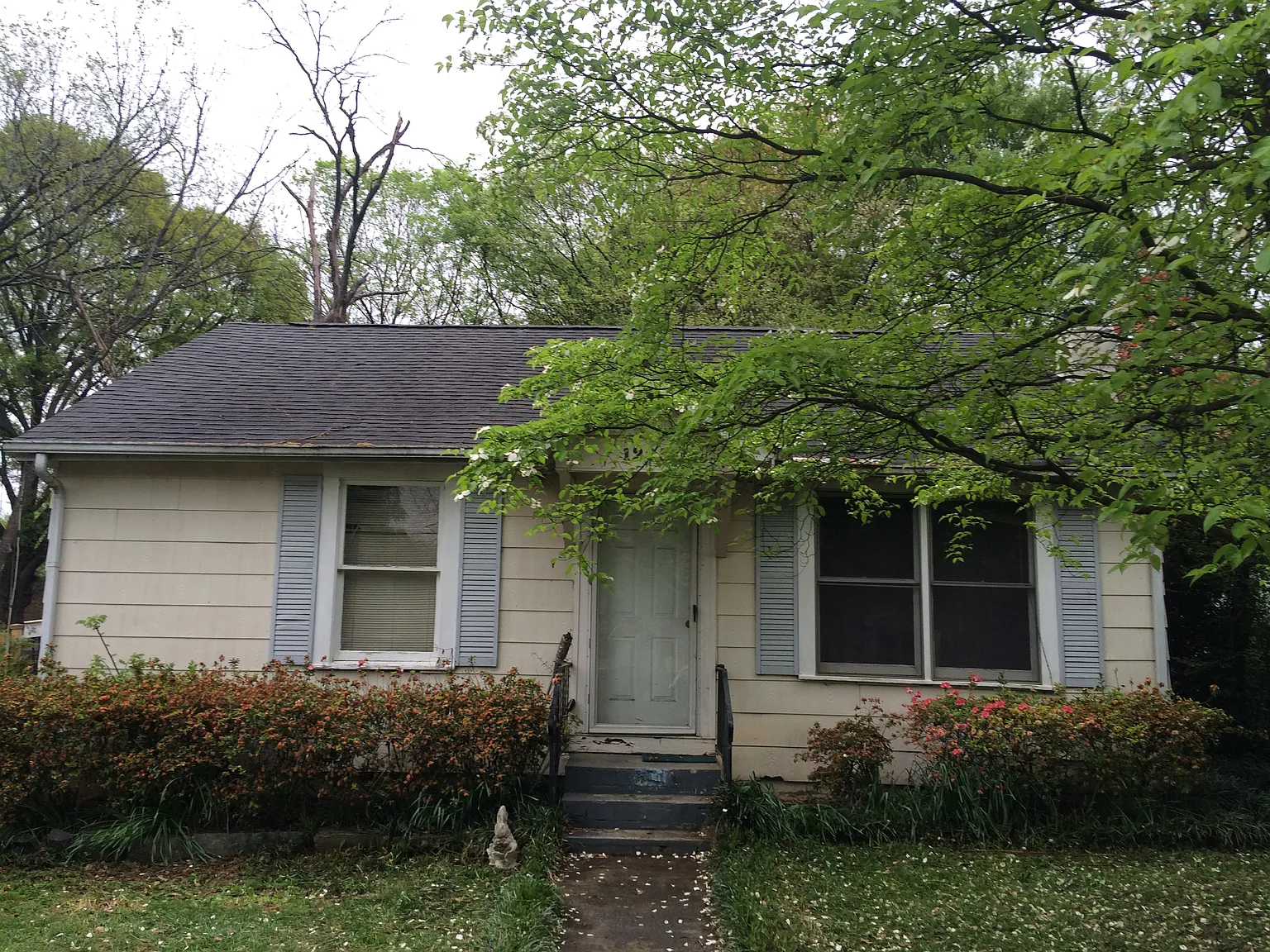 3 bed, 920 sqft, $1,500 — Photo 2