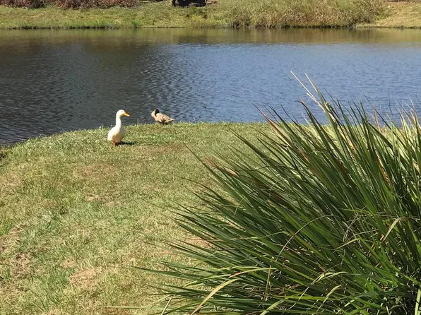 12 1st Add Weeping Willow Trl, Headland, AL 36345