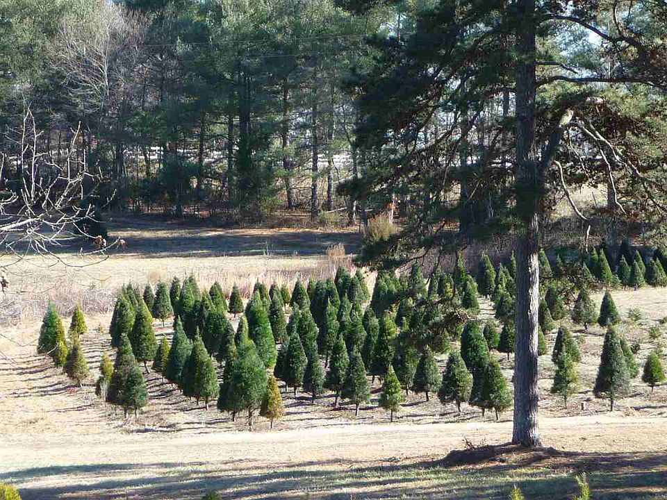 418 Martin Camp Rd, Chesnee, SC 29323 Zillow