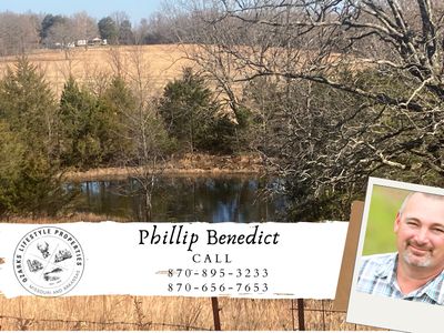 0 N Cedar Grove Rd, Lead Hill, AR, 72644