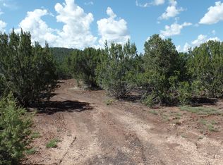 County Road 3323 PARCEL B, Vernon, AZ 85940
