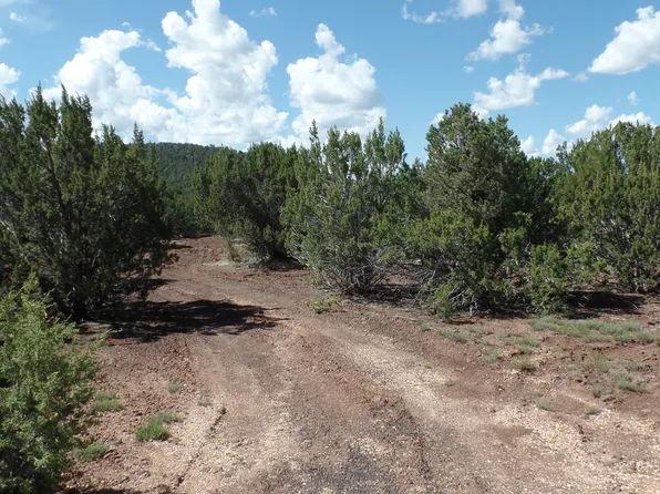 County Road 3323 Parcel B, Vernon, AZ 85940