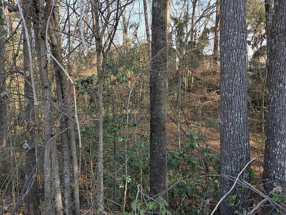 2nd image of 1976 Long Ridge Dr