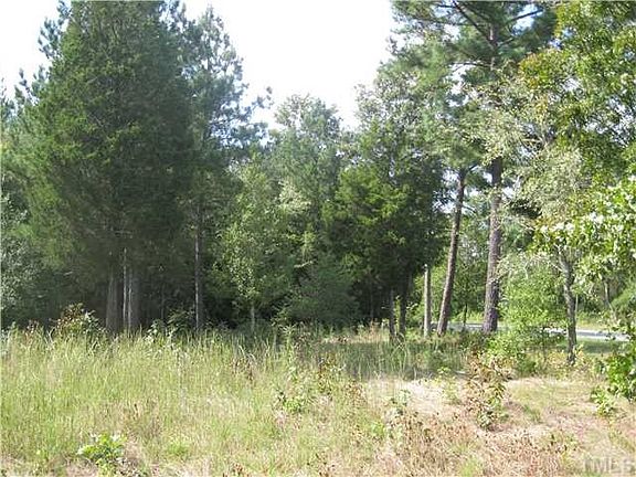 2nd image of LOT 0 N State Highway 87 Lot 0