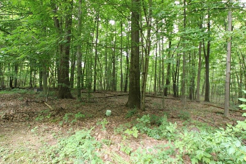 2nd image of 12743 Chambers Rd