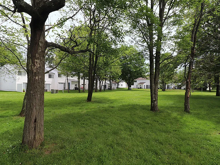 Laurelwood — Photo 20