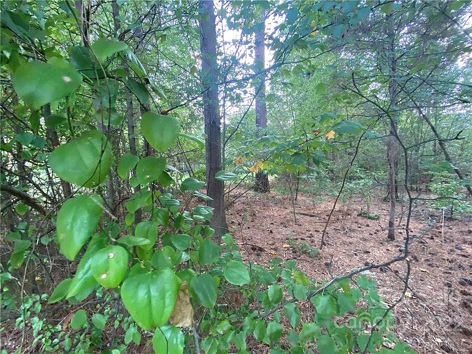 2nd image of 1613 Nottingham Dr