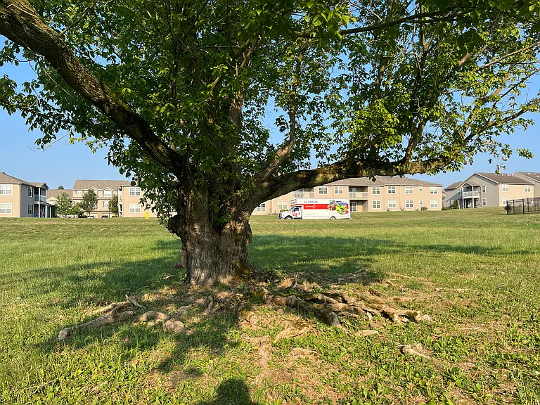 256 Thrush Dr — Photo 14