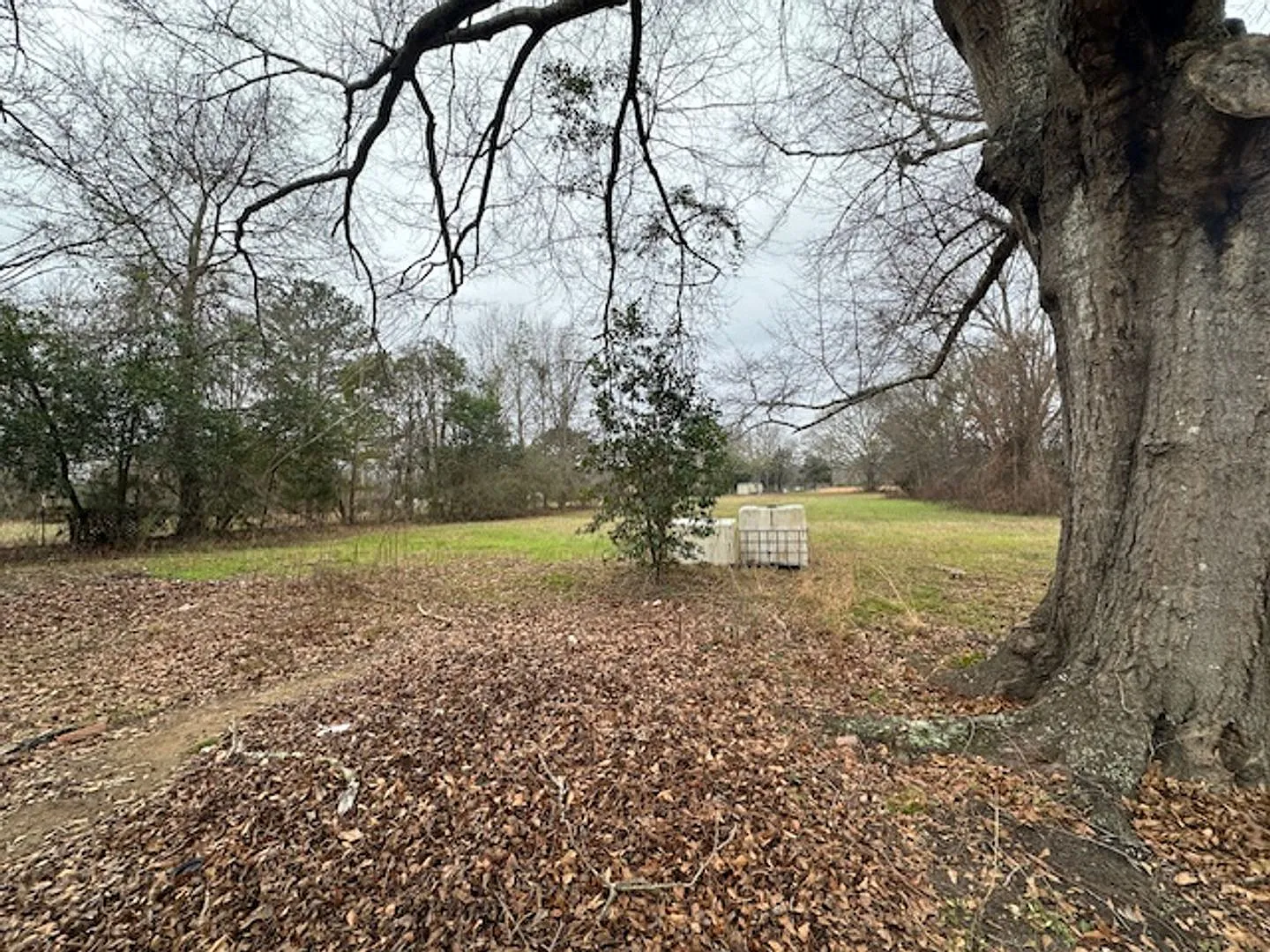 Home for Rent in Pike Road! — Photo 2