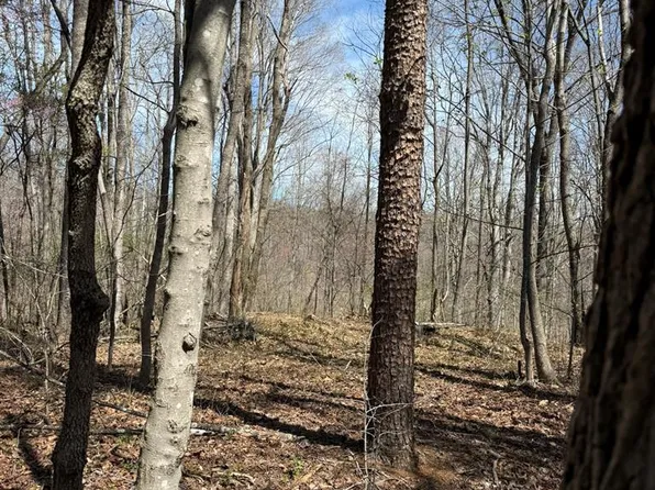 LOT 6 Pleasant Dr, Cascade, VA 24069