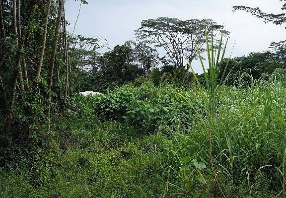 3rd image of 15-260 N Kahakai Blvd Lot 26