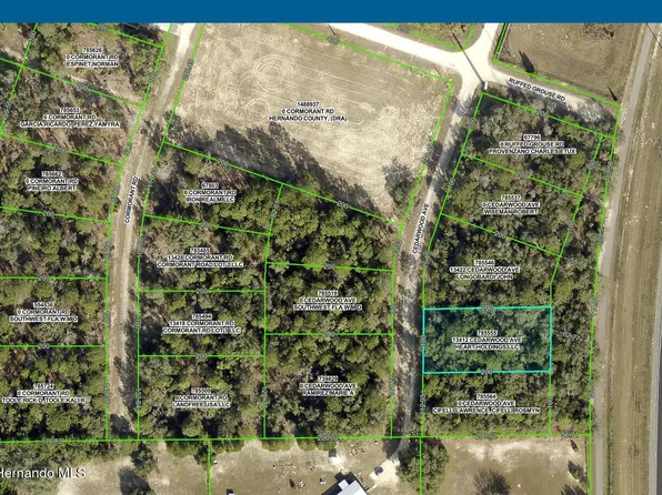 13412 Cedarwood Ave, Weeki Wachee, FL 34614