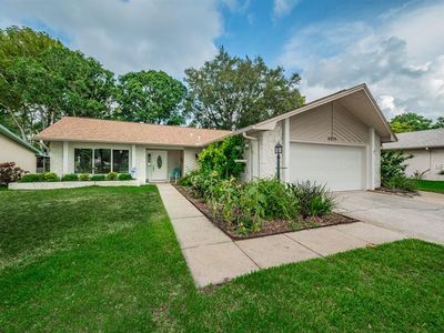3227 Macgregor Dr, Palm Harbor, FL, 34684