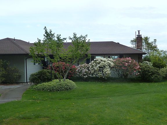 Spring - front of house