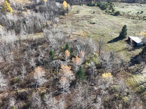Co #3, Bemidji, MN 56601