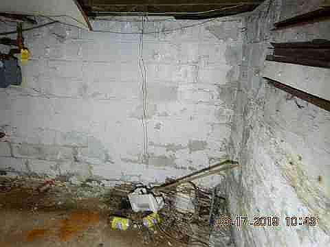 14135 Troester