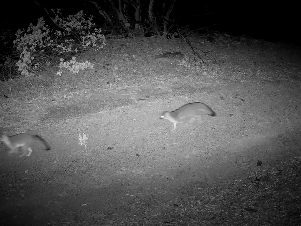 31st image of 299 Easy St