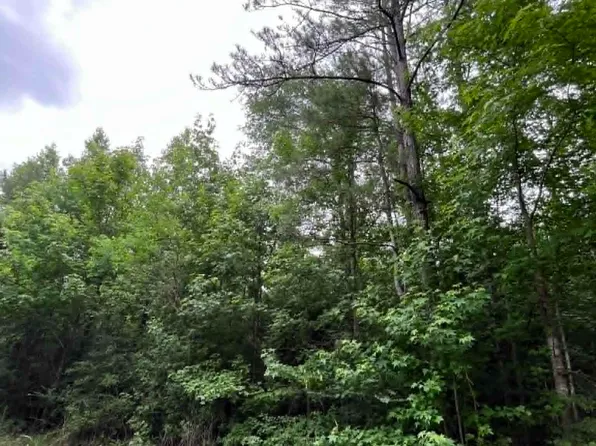 1200 County Road 4031, Newton, TX 75966