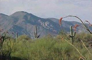 2nd image of 34989 N 99th Way